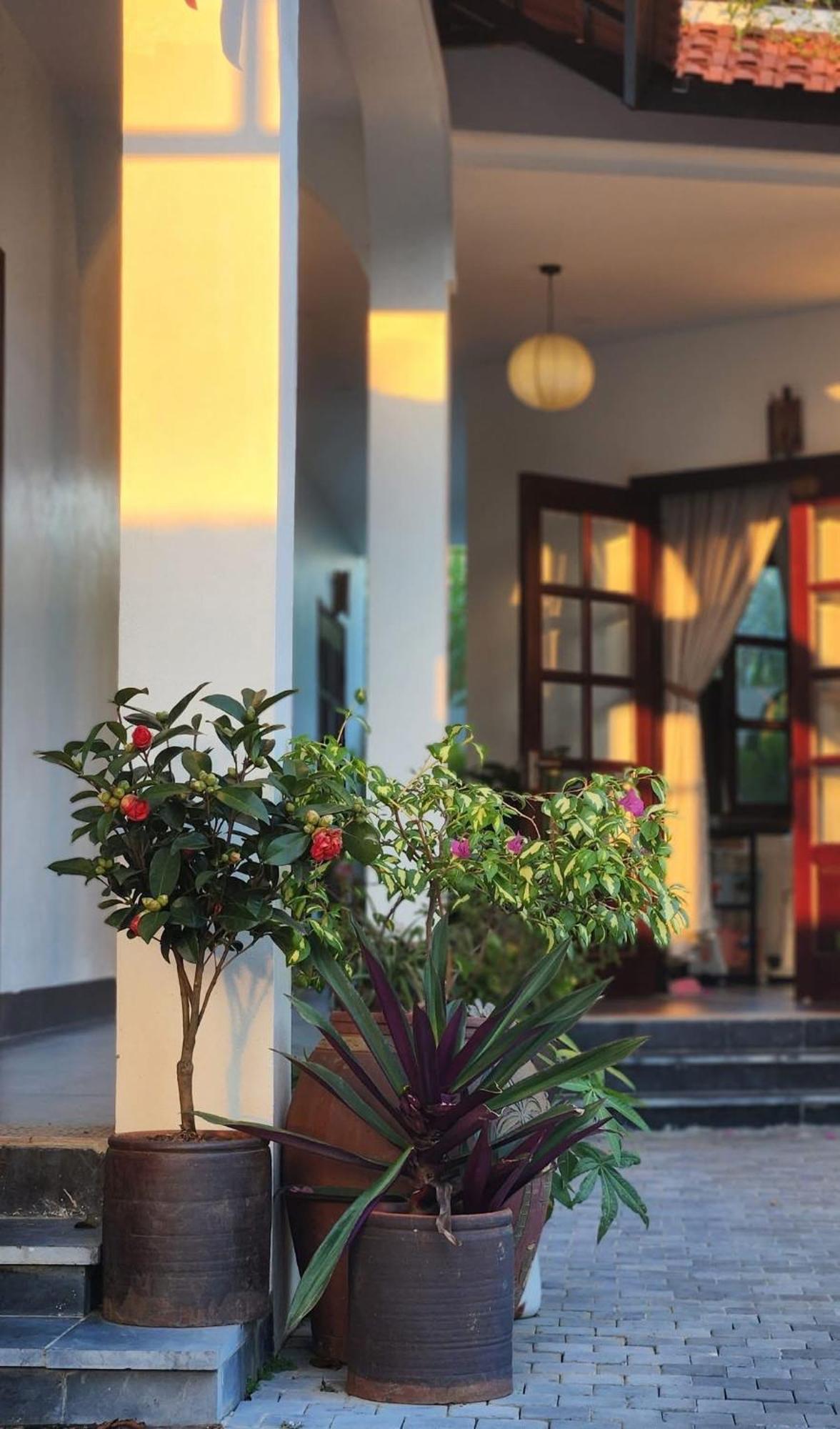 Anio Ha Giang Hotel Exteriör bild